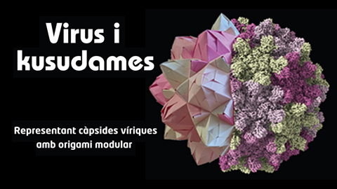  Poster for the exhibition on Viruses and Kusudames