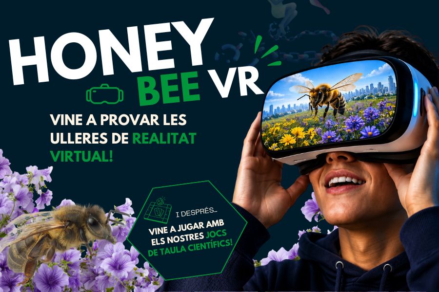Virtual glasses Honey Bee VR application
