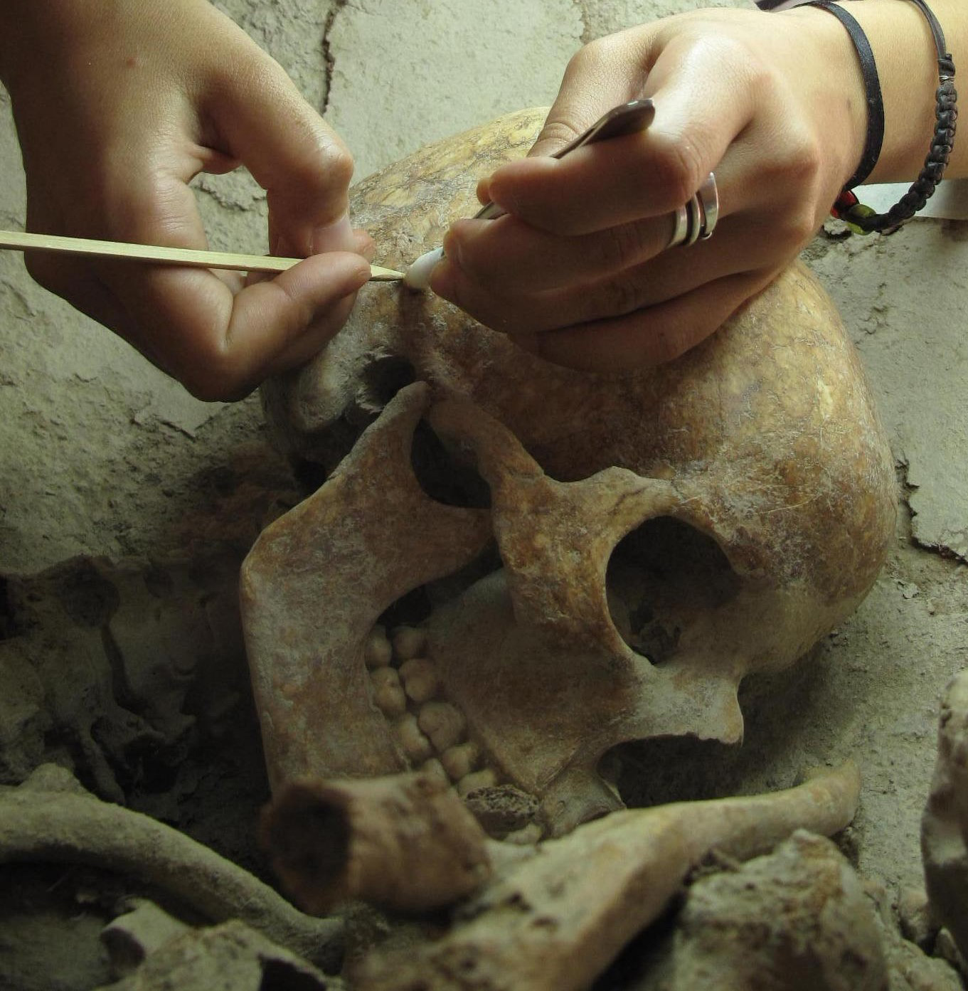 Màster Oficial en Arqueologia Prehistòrica