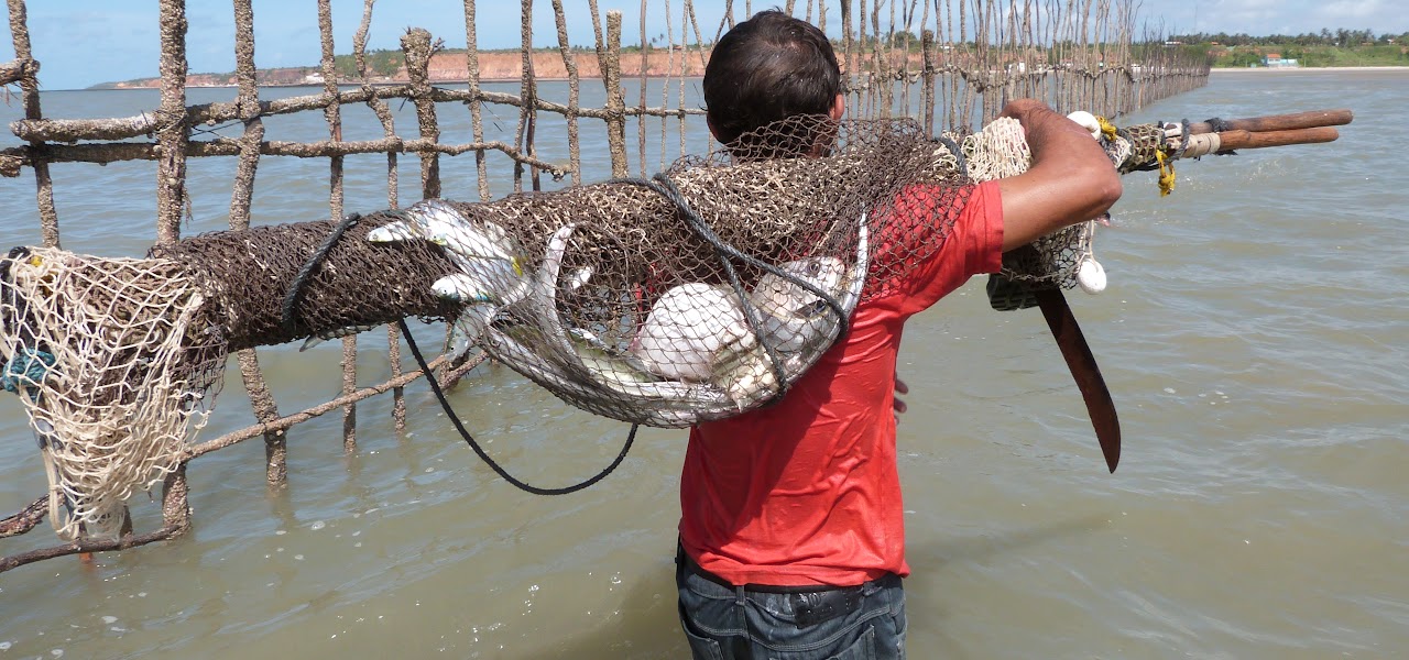 Pescador del continent americà