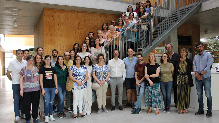 27th Interlaboratory Exercise on Organic Elemental Analysis and Isotopic Analysis