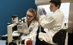 Cell Culture, Antibody Production and Cytometry Service (SCAC)