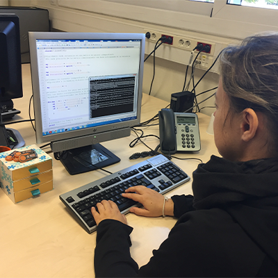 Imatge d'una investigadora mirant l'ordinador