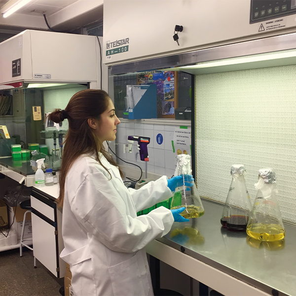 Researcher at the laboratory