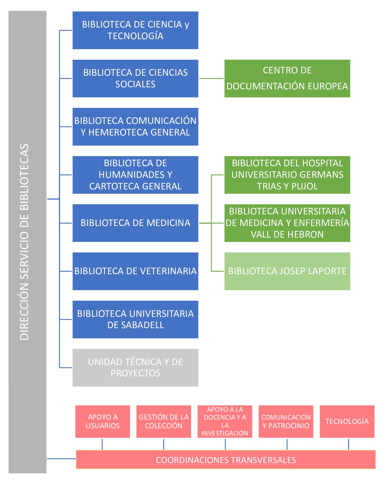 Diagrama organizativo del Servicio de Bibliotecas UAB