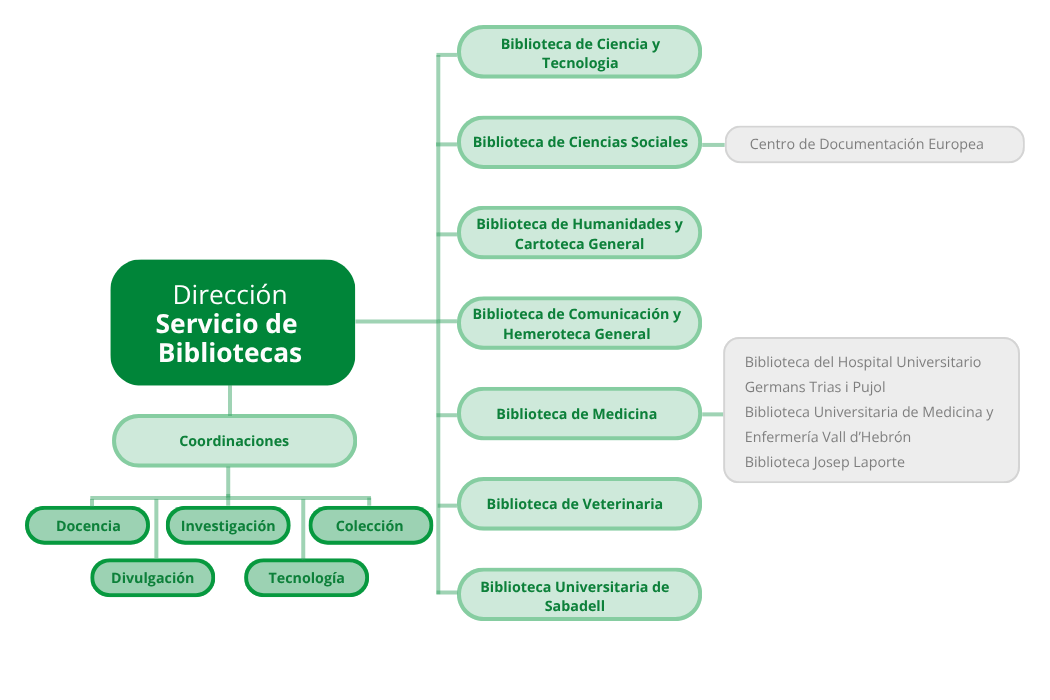 Diagrama organizativo del Servicio de Bibliotecas UAB