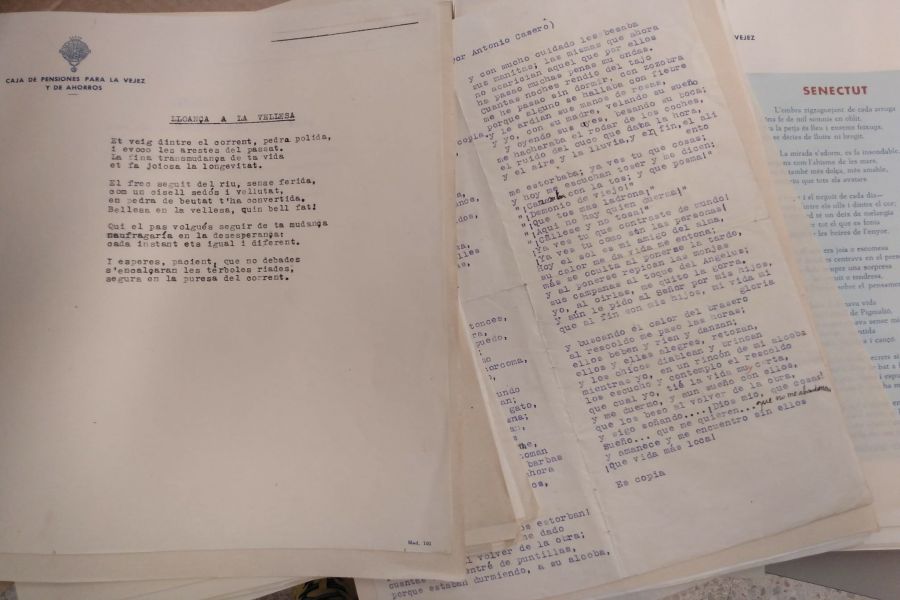 Imagen del Fondo de Martí Mitjà
