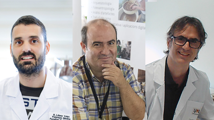 Convocatoria Proof of Concept