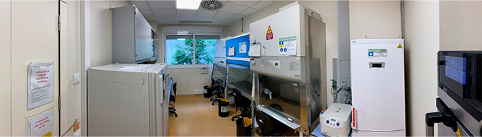 sala de cultivos celulares