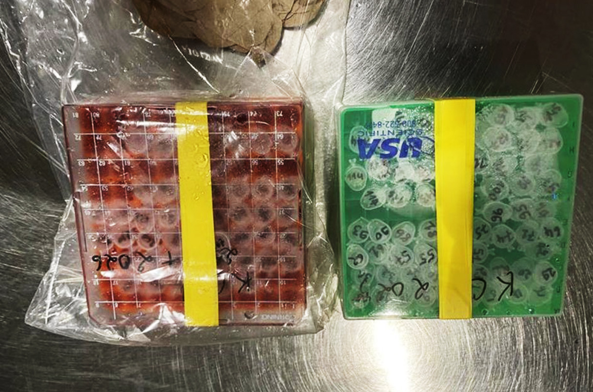 vials de transport