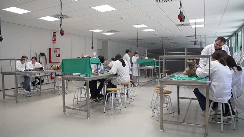  Plano general de alumnos haciendo prácticas en las mesas de la sala de disecciones. 