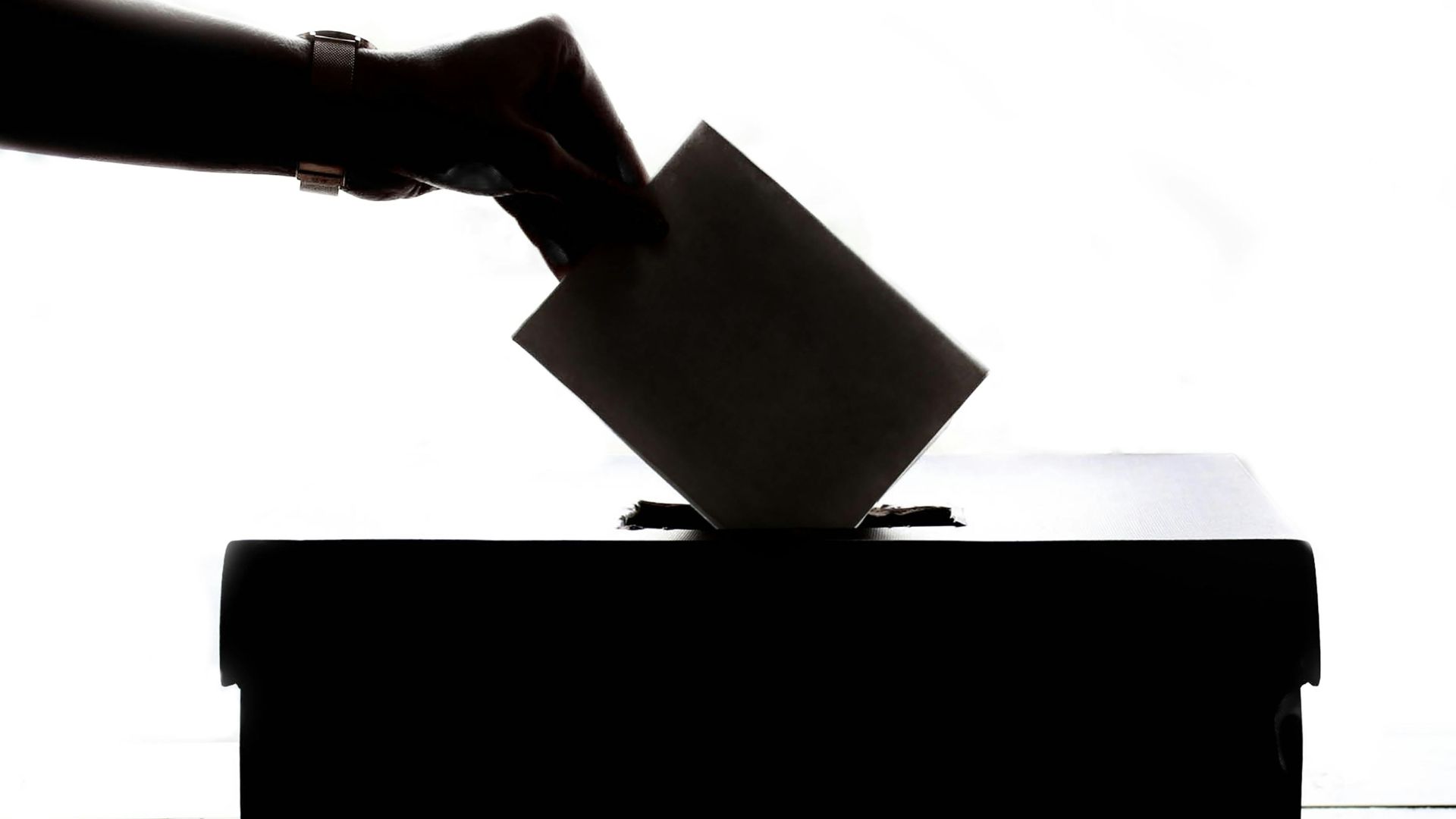 Elecciones