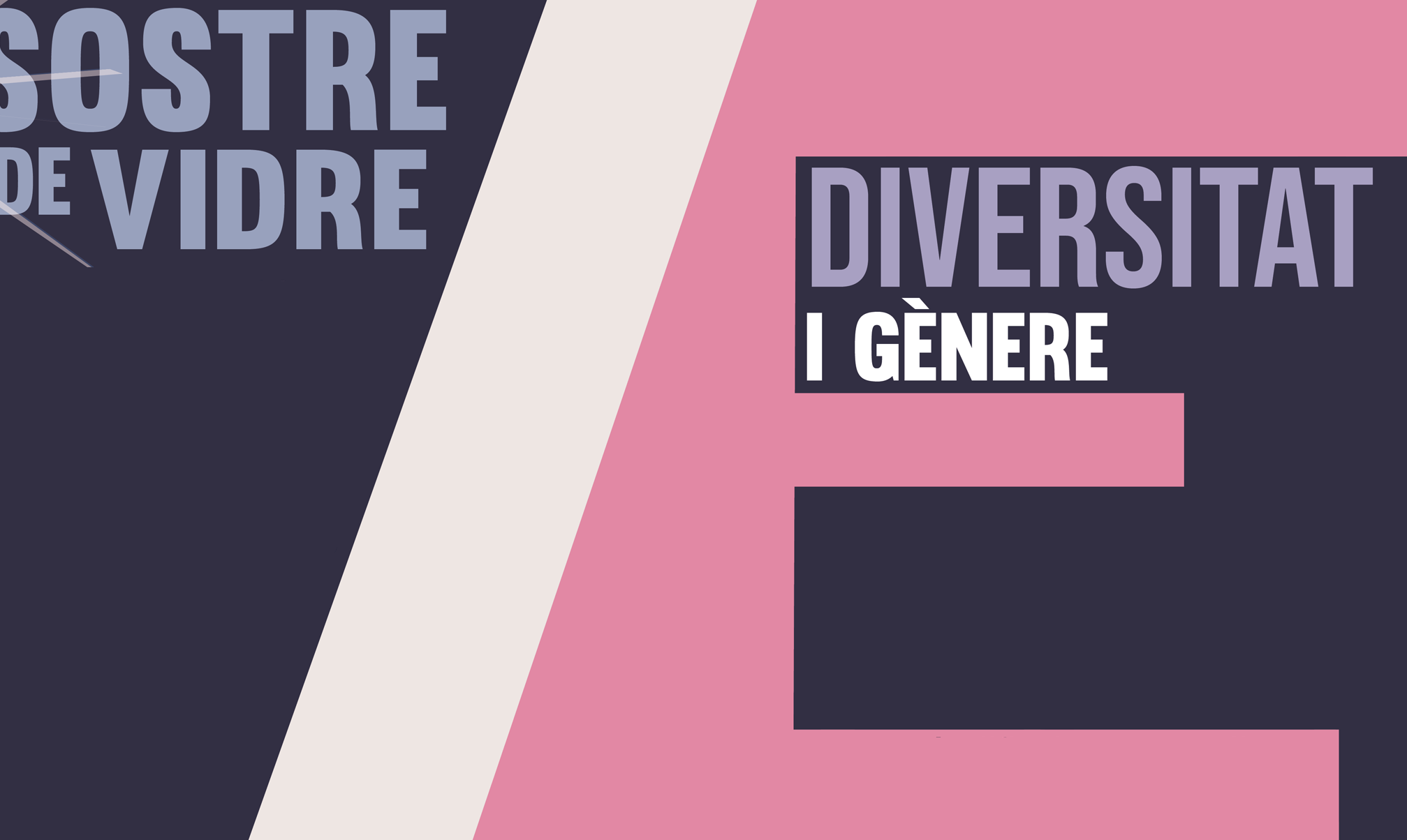 Diversitat i gènere