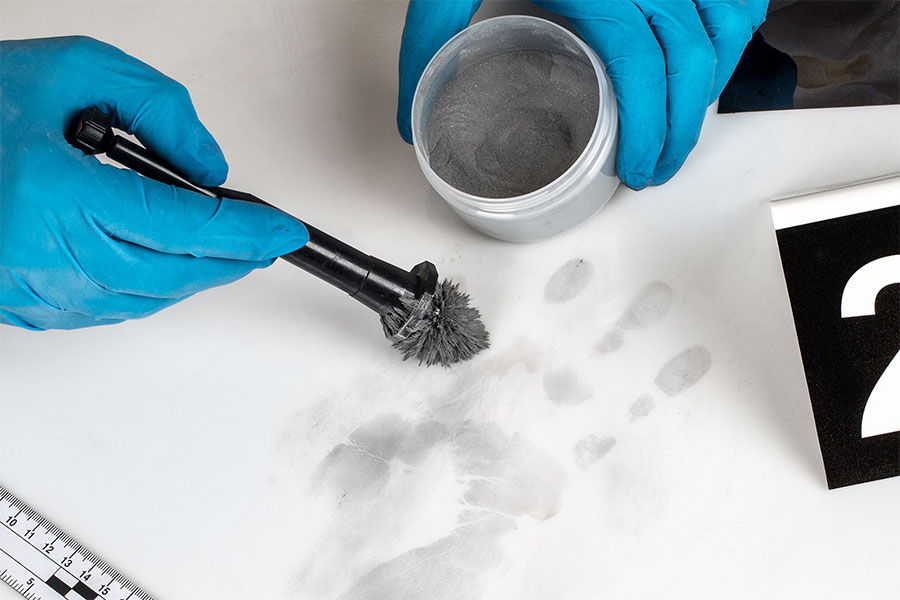 Máster universitario en Criminología y Ejecución Penal