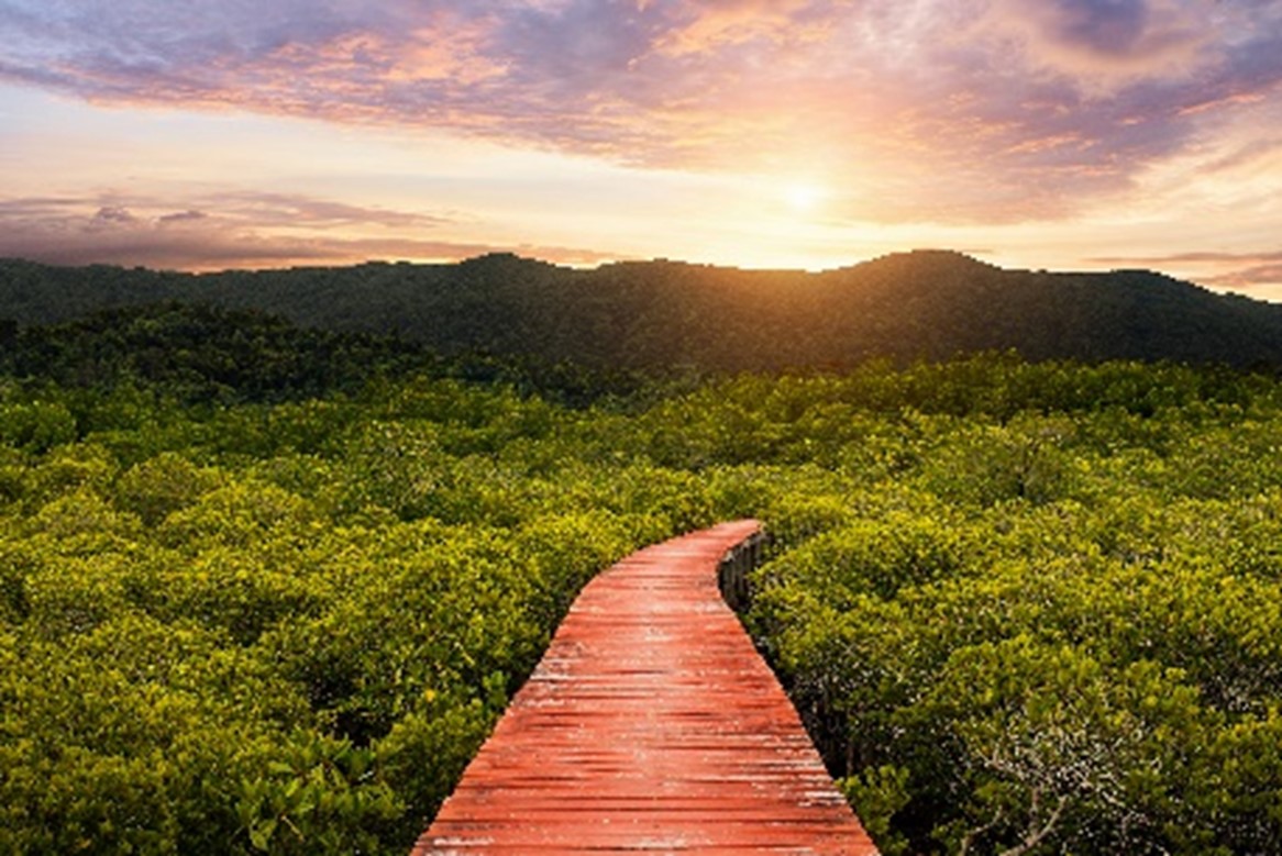  Camino de madera que atraviesa un paisaje verde lleno de vegetación y colinas, con una puesta de sol al fondo que ilumina el cielo con tonos cálidos.