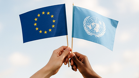Unión Europea y organismos internacionales