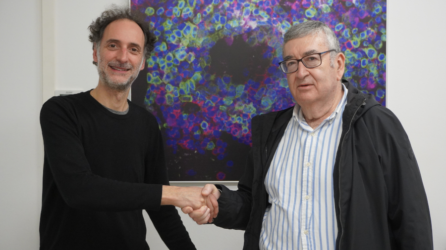 canvi de directors ES