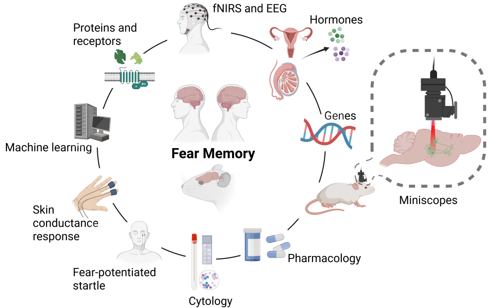 IG_TXT_RaulAnderoProjectDescription ES