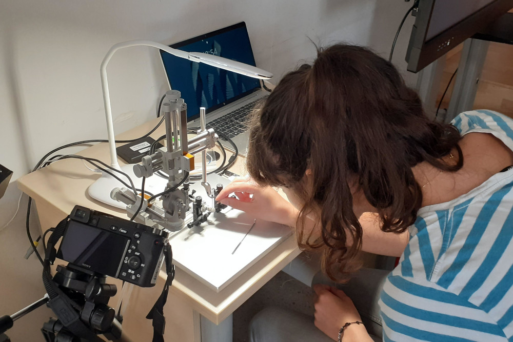 miniscopes es