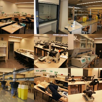 Laboratorios de la Unidad