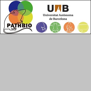 Logo Máster Universitario Morphophen