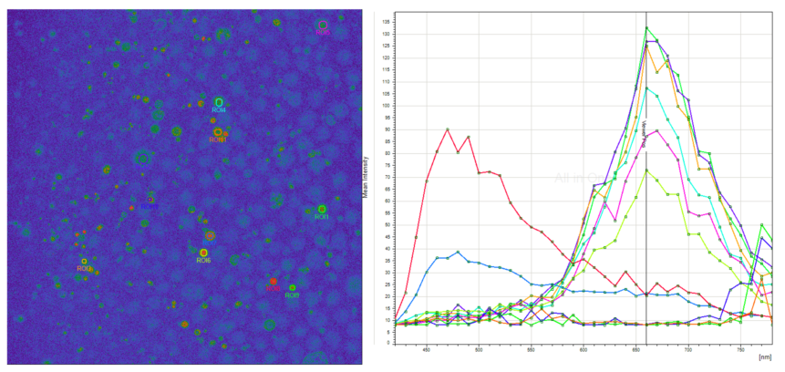 Caracterización del espectro de emisión de unas partículas de plástico. Sobre la imagen captada se dibujan regiones de interés para graficar los datos. De este modo, se puede observar la intensidad en función de la longitud de onda.