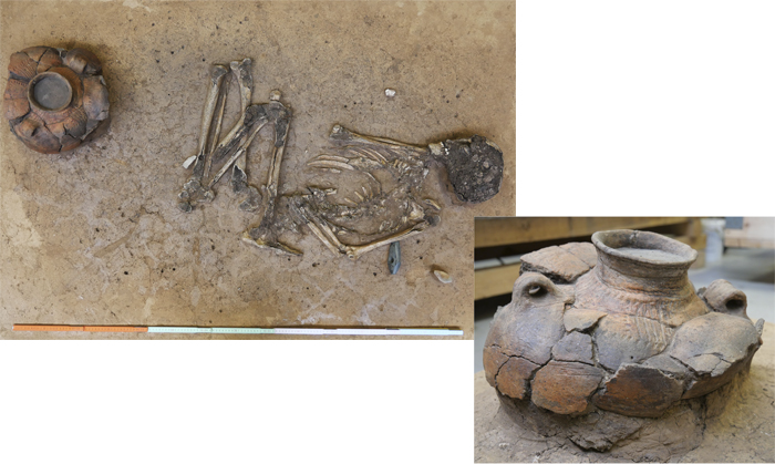 Restes humanes i ceràmiques d'una tomba prehistòrica d'Alemanya