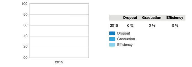 Graduation, dropout and efficiency chart