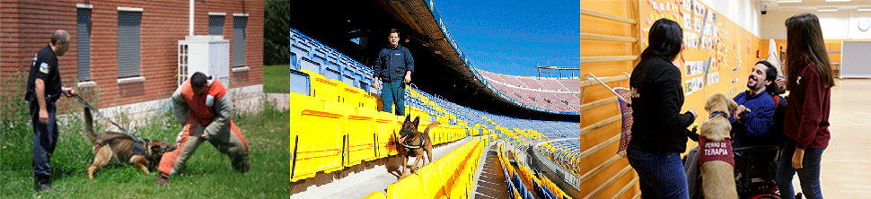 Persones operant amb unitats canines de treball