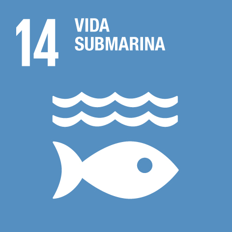 ODS 14: Vida Submarina