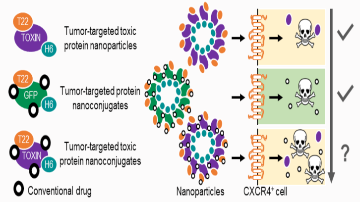 Nanoparticulas Antitumorales