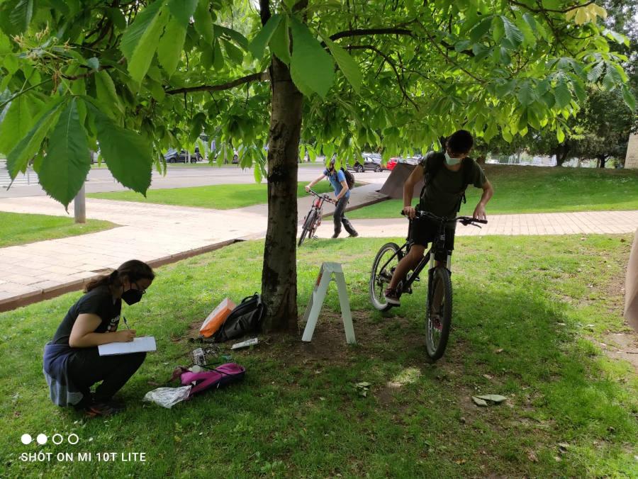 Sensor a zona d'arbres