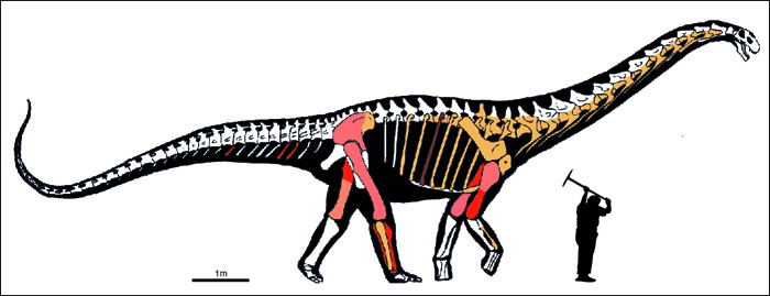Abditosaurus kuehnei