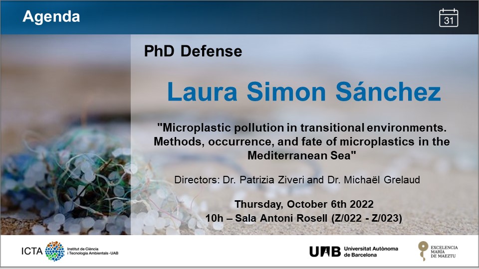 PhD thesis defense Laura Simon