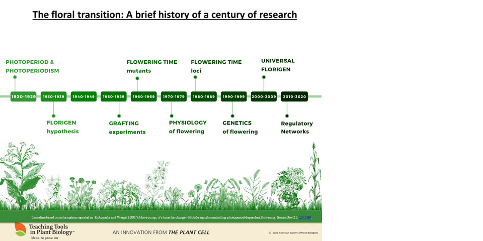 Timeline of one century (1920-2020) of research in plant science