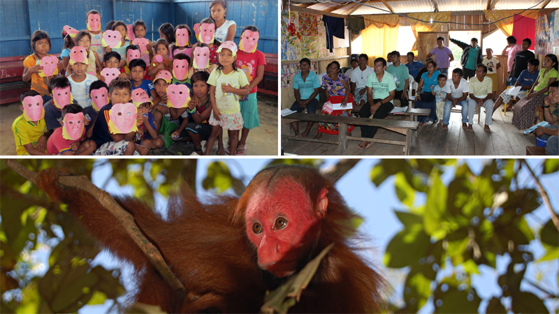 Collage. Dos fotos de la sessión del programa de conservación y la imagen del uakari rojo