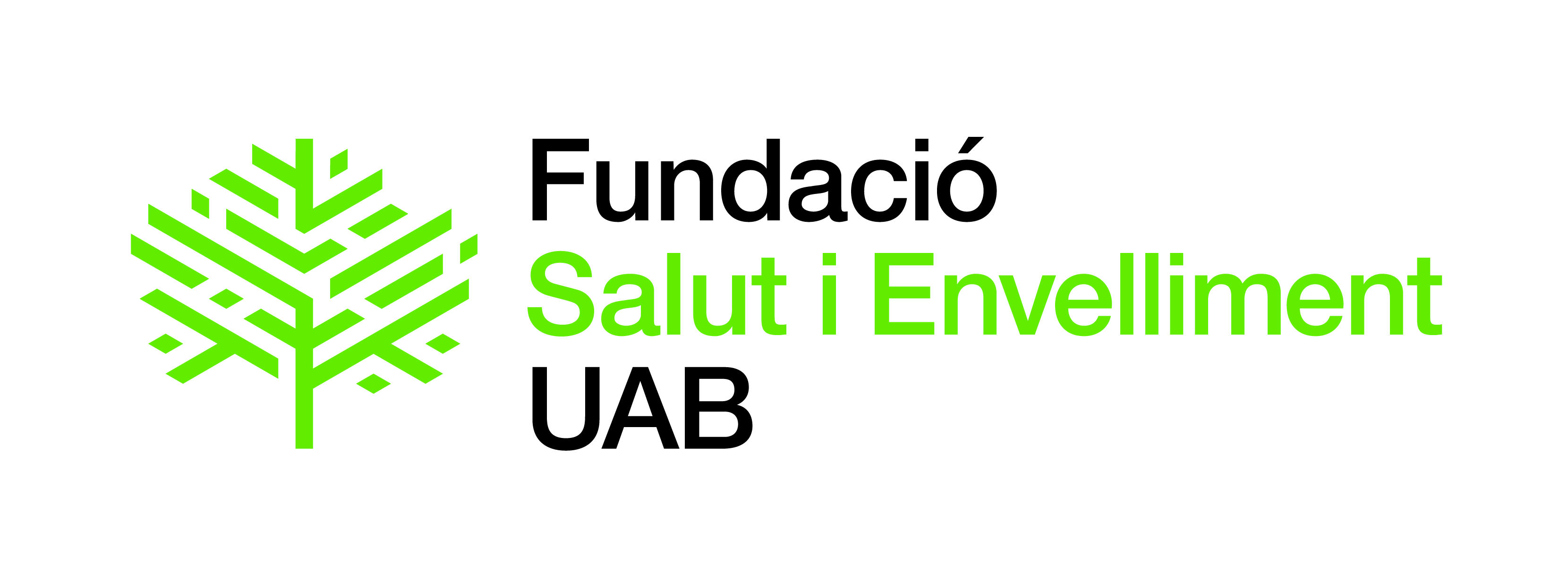 Logotip Fundació Salut i Envelliment