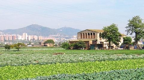 parc agrari del Baix Llobregat ICTA-UAB