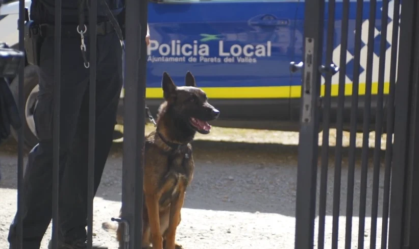 Intervencions policials davant d’incidents amb gossos