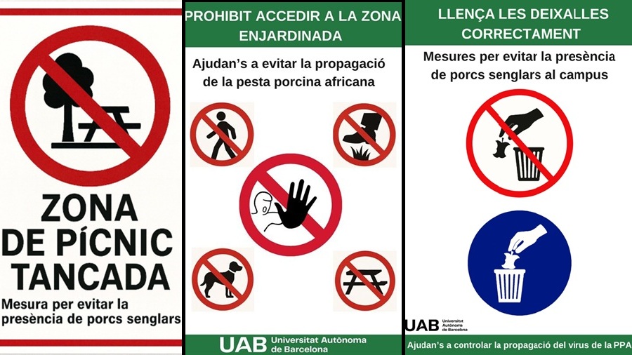 Mesures de contenció de la presència de senglars